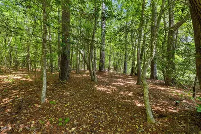 705 Timberlake Road, Franklinton, NC 27525 - Photo 37