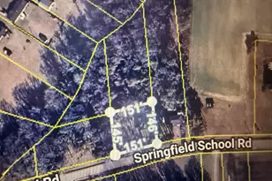 8066 Springfield School Rd, Kenly, NC 27542 - Photo 11