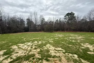 387 Bonsai Wy, Four Oaks, NC 27524 - Photo 19