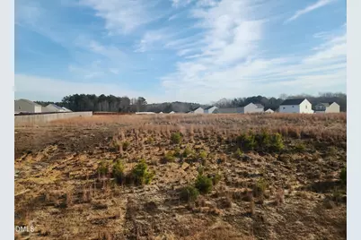 60 Coles Hill Road, Angier, NC 27501 - Photo 3