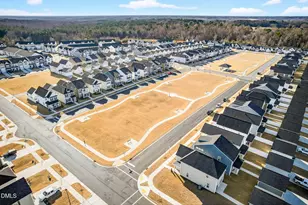 253 Buckhorn Br Pk, Clayton, NC 27520 - Photo 55