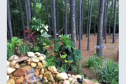 35 Rolling Meadows Lane, Chapel Hill, NC 27517 - Photo 29