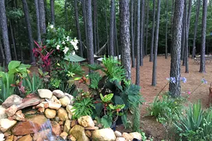 35 Rolling Meadows Ln, Chapel Hill, NC 27517 - Photo 29