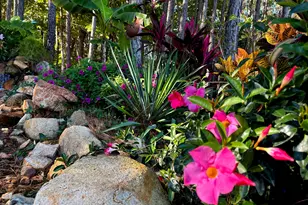 35 Rolling Meadows Ln, Chapel Hill, NC 27517 - Photo 53