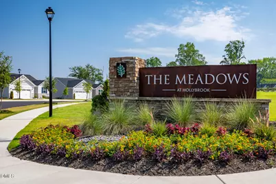 266 Matthiola Drive, Wendell, NC 27591 - Photo 29