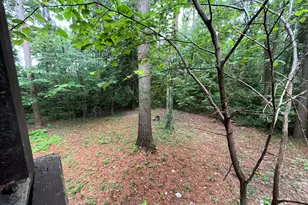 293 Nicholson Rd, Rockingham, NC 28379 - Photo 39