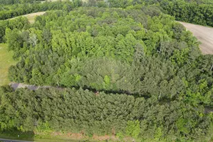 51 P G Pearce Rd, Zebulon, NC 27597 - Photo 3