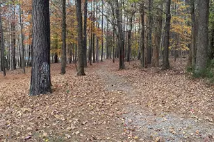 263 Pine Trail, Henderson, NC 27537 - Photo 25