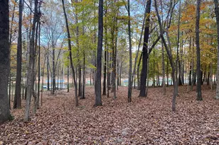 263 Pine Trail, Henderson, NC 27537 - Photo 29