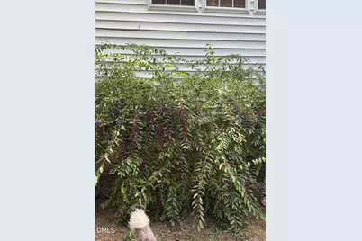 1011 Scotsburg Trail, Hillsborough, NC 27278 - Photo 5