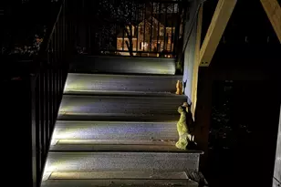 1011 Scotsburg Trail, Hillsborough, NC 27278 - Photo 47