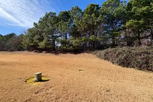 336 Duchart Lane, Fuquay Varina, NC 27526 - Photo 17