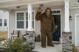 223 Mallard Loop Dr, Clayton, NC 27527 - Photo 3