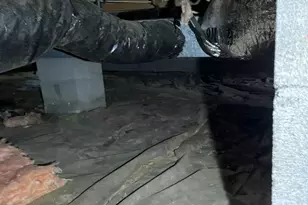 107 Oak Park Dr, Benson, NC 27504 - Photo 55