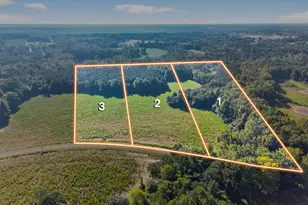 Lot 1 Mitchell Rd, Lillington, NC 27546 - Photo 1