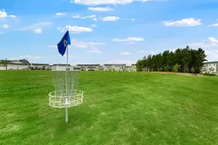 125 Nahunta Dr, Apex, NC 27539 - Photo 59