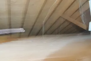 855 Park Ave, Henderson, NC 27536 - Photo 65