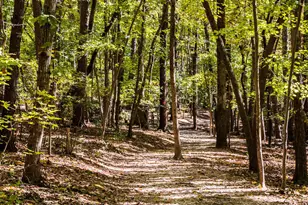 14 Charlie Cir, Angier, NC 27592 - Photo 81