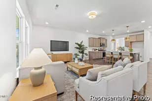 413 Plentiful Wy, Benson, NC 27504 - Photo 9