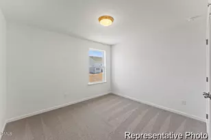 413 Plentiful Wy, Benson, NC 27504 - Photo 19