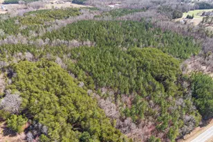 7284 State Hwy 49, Mebane, NC 27302 - Photo 9