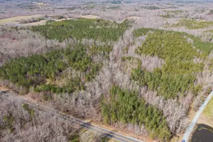 7284 State Hwy 49, Mebane, NC 27302 - Photo 13