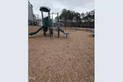 229 Ribbon Rail Street, Fuquay Varina, NC 27526 - Photo 29