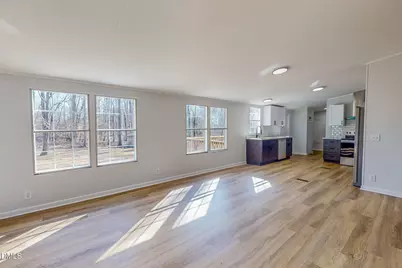 273 Chole Marie Lane, Hurdle Mills, NC 27541 - Photo 33