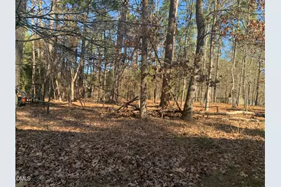 111 Wenonah Way, Durham, NC 27713 - Photo 9