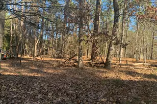 111 Wenonah Way, Durham, NC 27713 - Photo 9