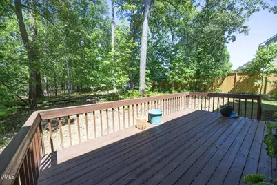 111 Wenonah Way, Durham, NC 27713 - Photo 39
