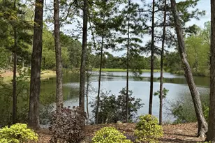 25303 Ludwell, Chapel Hill, NC 27517 - Photo 3