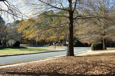 103 Sir Richard Lane, Chapel Hill, NC 27517 - Photo 27