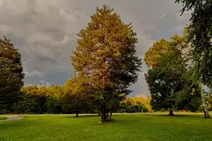 2109 Harris Rd, Rougemont, NC 27572 - Photo 29