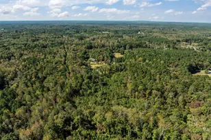 3201 Carl Durham Rd, Chapel Hill, NC 27516 - Photo 29