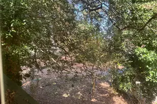 3201 Carl Durham Rd, Chapel Hill, NC 27516 - Photo 59