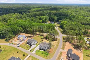 1232 Perry Blf Dr, Wake Forest, NC 27587 - Photo 53