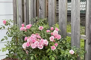 1208 N Main St, Tarboro, NC 27886 - Photo 57