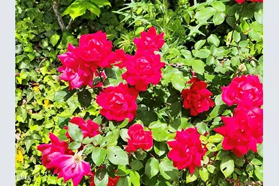 415 E Lane Street, Raleigh, NC 27601 - Photo 55