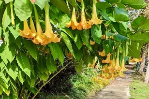 415 E Lane St, Raleigh, NC 27601 - Photo 53