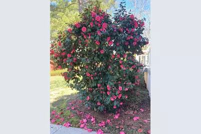 2064 Oxford Road, Henderson, NC 27536 - Photo 63