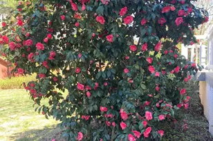 2064 Oxford Rd, Henderson, NC 27536 - Photo 63