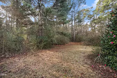 0 Fann School, Salemburg, NC 28385 - Photo 5