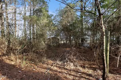 0 Fann School, Salemburg, NC 28385 - Photo 3