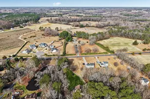 198 Pope Lake Rd, Angier, NC 27501 - Photo 49