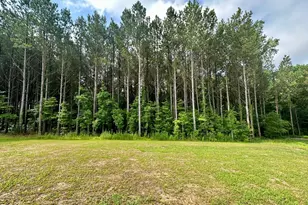 437 Earnest Wy, Kenly, NC 27542 - Photo 25