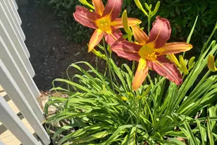 1424 Mapleside Ct, Raleigh, NC 27609 - Photo 65