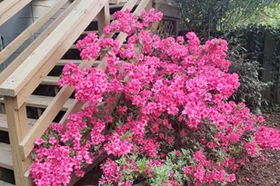 1424 Mapleside Ct, Raleigh, NC 27609 - Photo 59