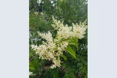 1424 Mapleside Court, Raleigh, NC 27609 - Photo 67