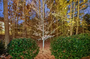 1015 Venetian Ct, Cary, NC 27518 - Photo 75